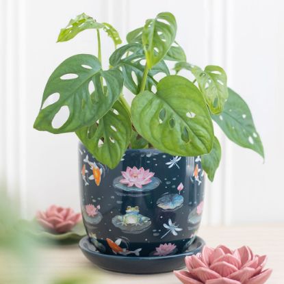 Picture of Pond Print Plant Pot with Saucer