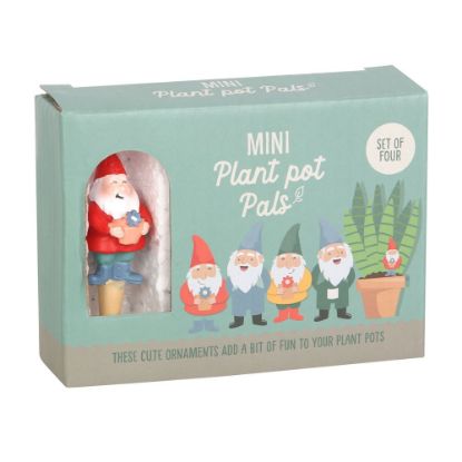 Picture of Set of 4 Mini Gnome Plant Pot Pals