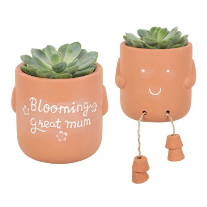 Picture of Blooming Great Mum Sitting Plant Pot Pal