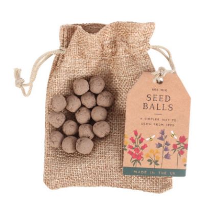 Picture of 24 Garden Seed Balls in a Bag