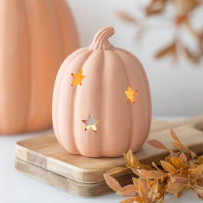 Picture of 9cm Terracotta Pumpkin Tealight Holder
