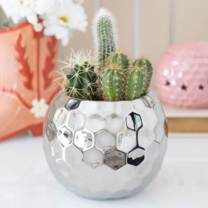 Picture of Silver Disco Ball Vase