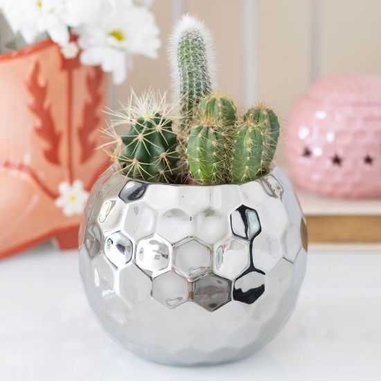 Picture of Silver Disco Ball Vase