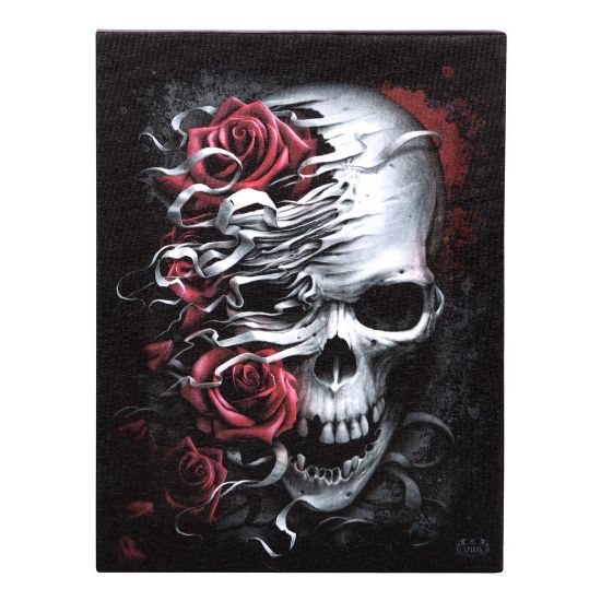 Picture of 19x25cm Skulls n Roses Canvas Plaque by Spiral Direct