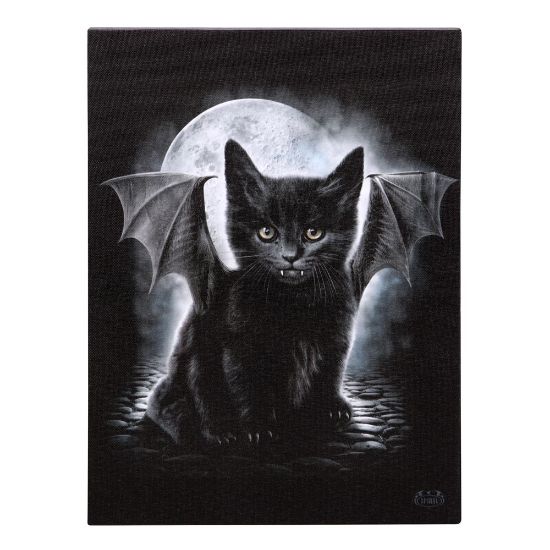 Picture of 19x25cm Bat Cat Canvas Plaque by Spiral Direct