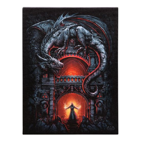 Picture of 19x25cm Dragon's Lair Canvas Plaque by Spiral Direct