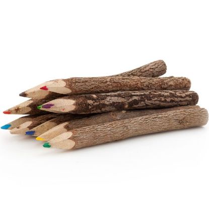 Picture of Set of 10 Twig Pencils