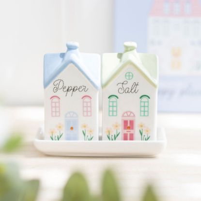 Picture of Pastel House Salt and Pepper Shakers