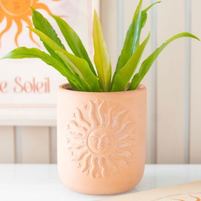 Picture of Terracotta Sun Plant Pot