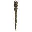 Picture of Man of the Wood Wand