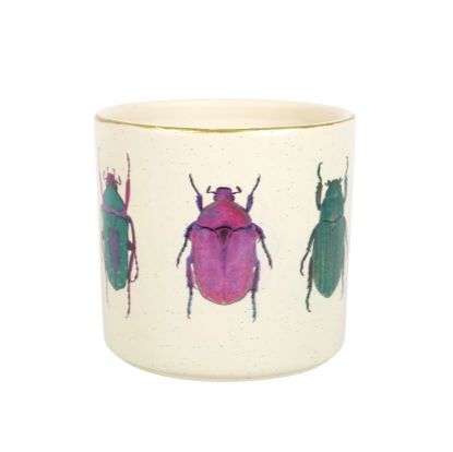 Picture of Off White Beetle Plant Pot