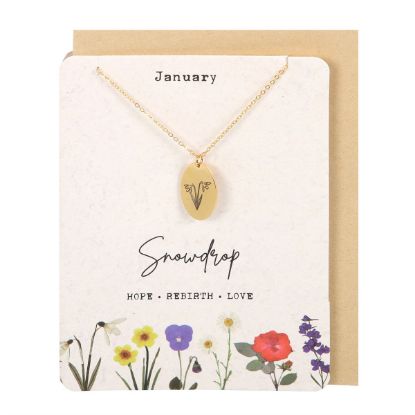 Picture of January Snowdrop Birth Flower Necklace Card