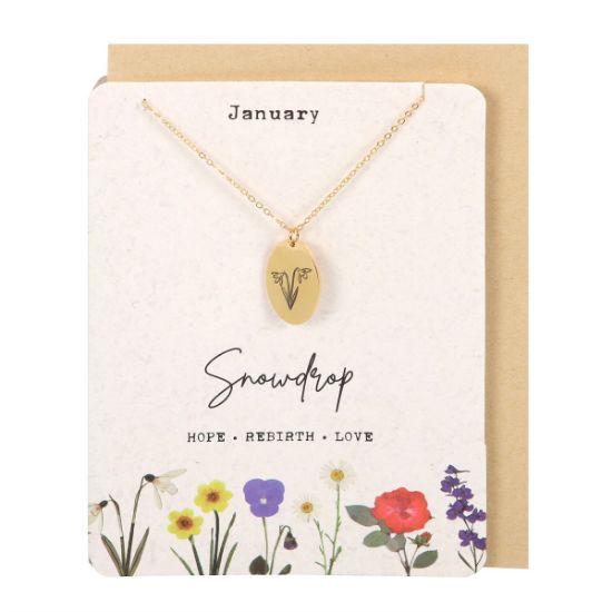 Picture of January Snowdrop Birth Flower Necklace Card
