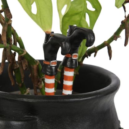 Picture of Set of 2 Witch Leg Plant Pot Ornaments