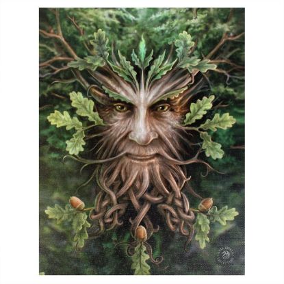 Picture of 19x25cm Oak King Canvas Plaque by Anne Stokes