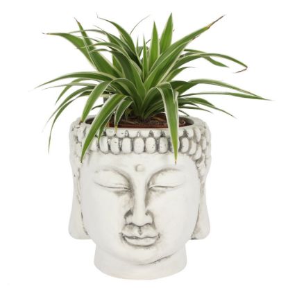 Picture of White Terracotta Buddha Head Planter