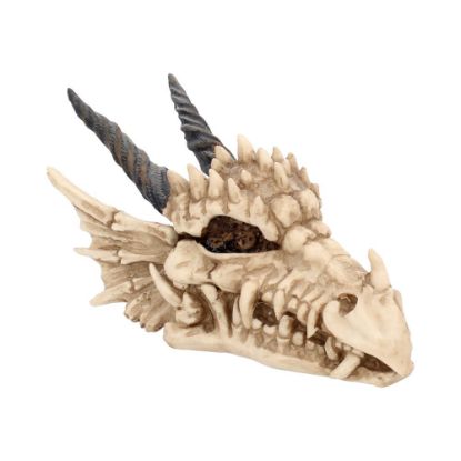 Picture of Dragon Skull Box 20cm