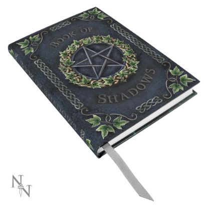 Picture of Embossed Book of Shadows Ivy 17cm