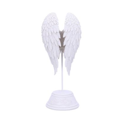 Picture of Angel Wings 26cm