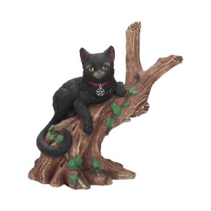 Picture of Onyx (NN) 14cm