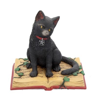 Picture of Eclipse (NN) 12cm