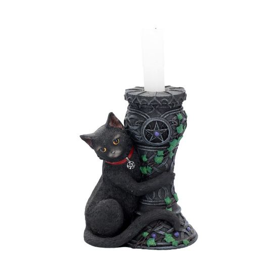 Picture of Midnight (NN) 15cm