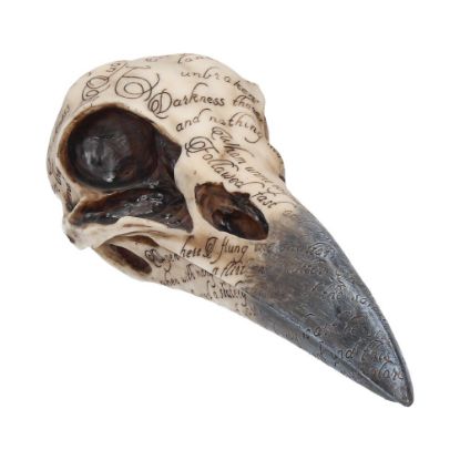 Picture of Edgar's Raven Skull 21cm
