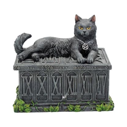 Picture of Fortune's Watcher Tarot Box 17cm