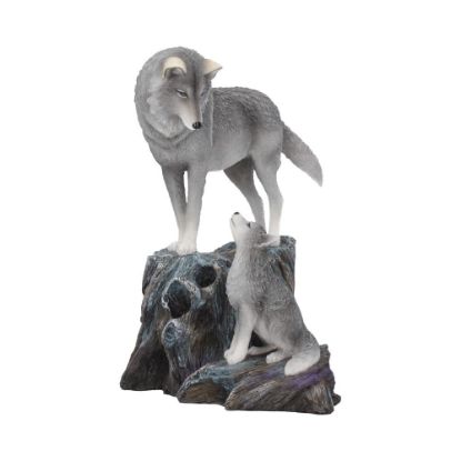 Picture of Guidance 25cm (LP)