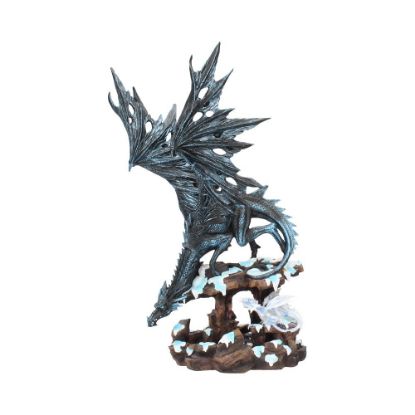 Picture of Dragons Wisdom. 47cm