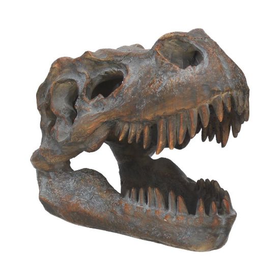 Picture of Tyrannosaurus Rex Skull Freestanding 16cm