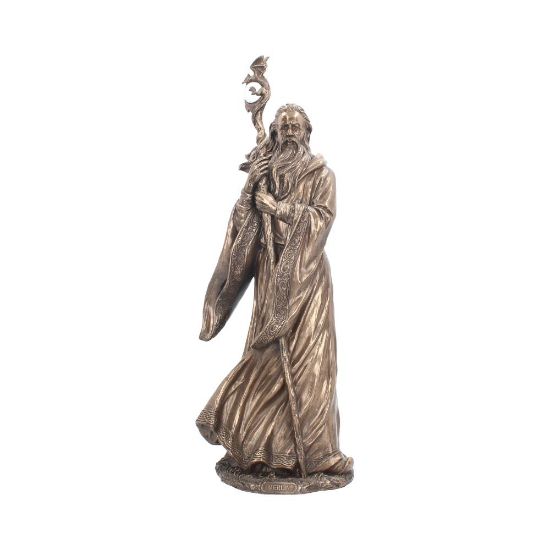 Picture of Merlin Bronze 47cm (Large)