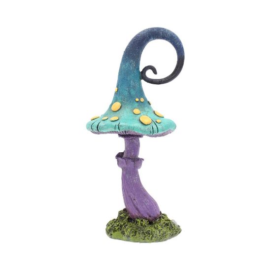 Picture of Foolish Fizzy Whizz 24cm