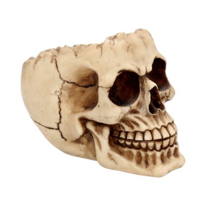 Picture of Lobo 14.5cm