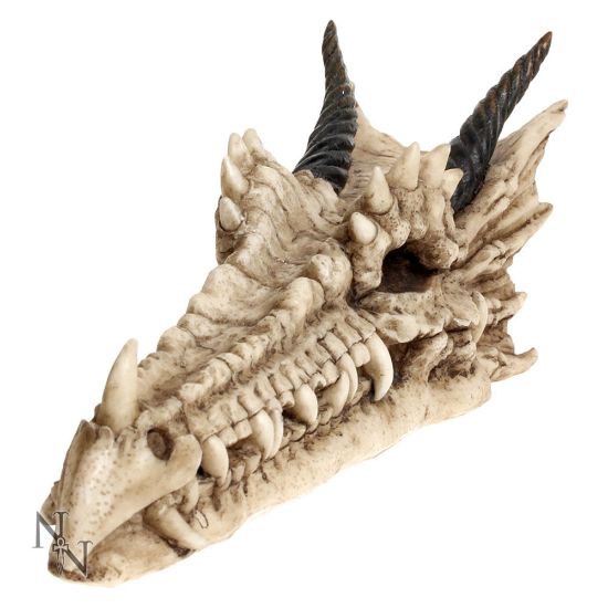 Picture of Draco Skull Incense Holder 24cm