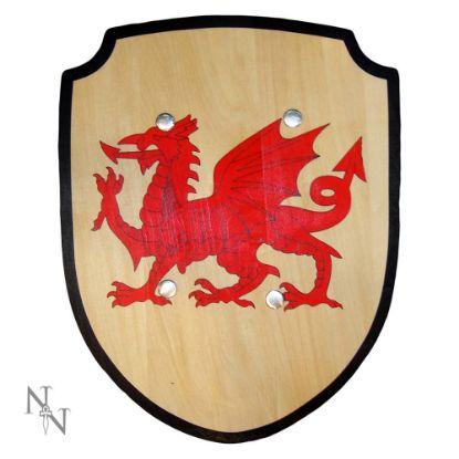 Picture of Welsh Shield 34cm