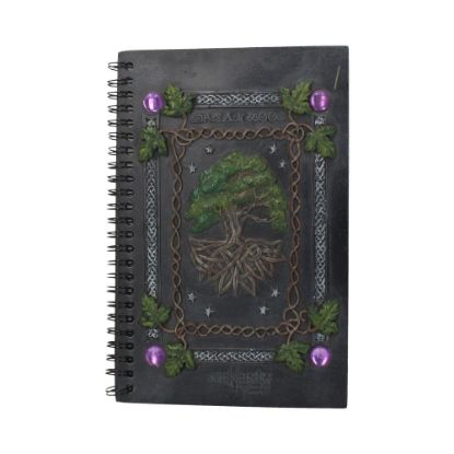 Picture of Dream Book (21cm)