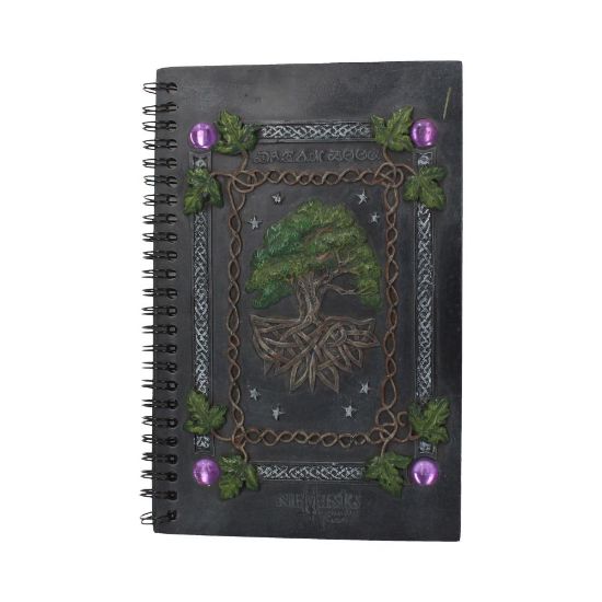 Picture of Dream Book (21cm)