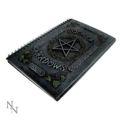Picture of Ivy Book Of Shadows (22cm)