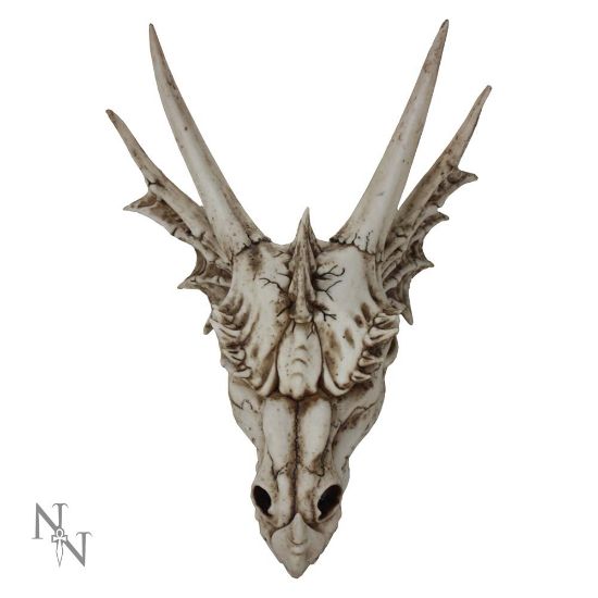 Picture of The Last Dragon Skull 32cm