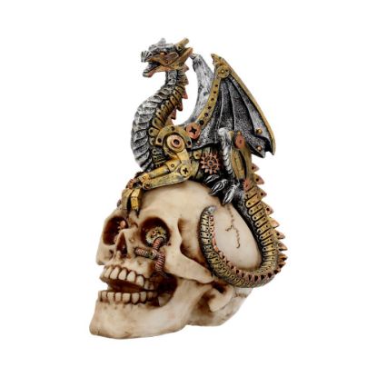 Picture of Dragon's Grasp 18.5cm