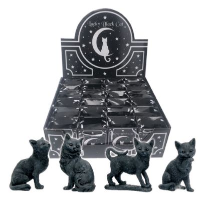 Picture of Lucky Black Cats 9cm (Display of 24)
