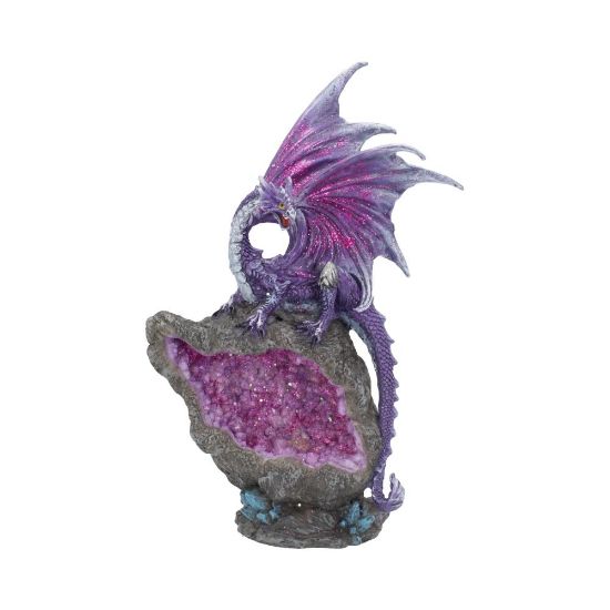 Picture of Amethyst Custodian 22cm