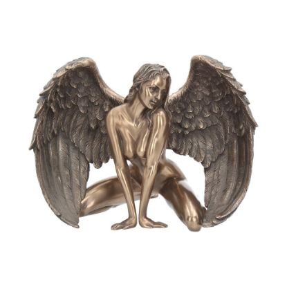 Picture of Angels Passion 17.5cm