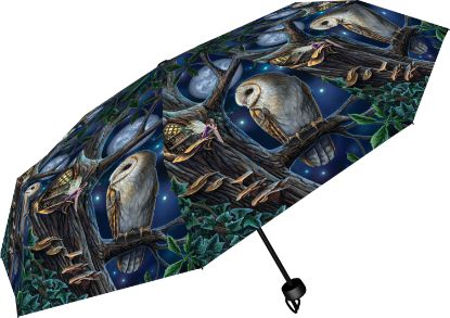 Picture of Fairy Tales Umbrella (LP)