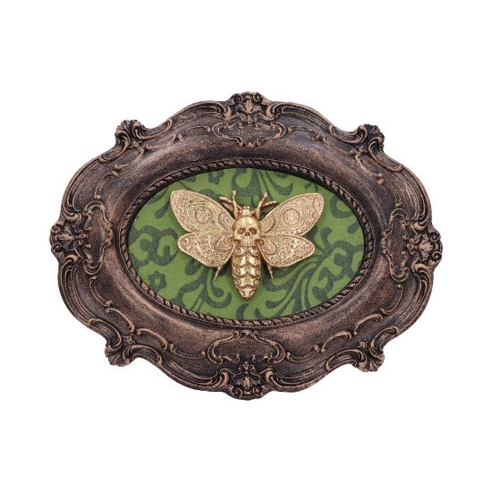 Picture of Moth Macabre 22.3cm
