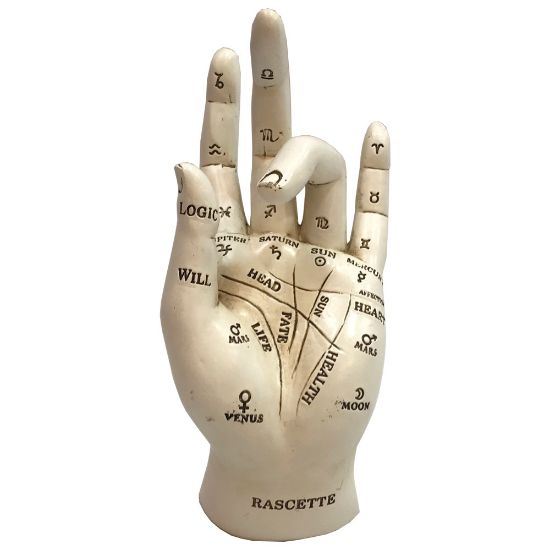 Picture of Palmistry 17.7cm