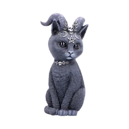 Picture of Pawzuph 26.5cm (Large)
