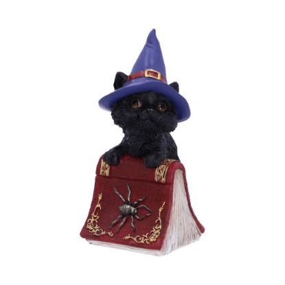 Picture of Hocus 12.7cm