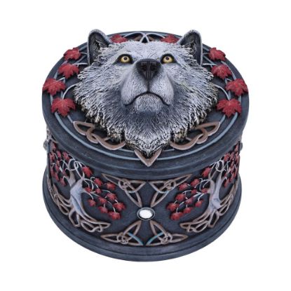 Picture of Guardian of the Fall Box (LP) 11cm